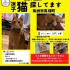  サムネイル3