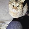  サムネイル2