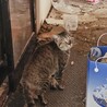  サムネイル3