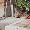  サムネイル4