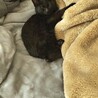  サムネイル2