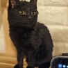  サムネイル3