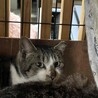  サムネイル3