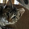  サムネイル2