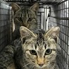  サムネイル3