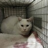  サムネイル2