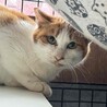  サムネイル2