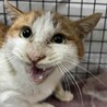  サムネイル3