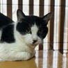  サムネイル4