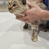  サムネイル2