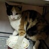  サムネイル2