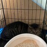  サムネイル2