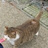  サムネイル2