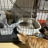  サムネイル2