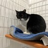  サムネイル2