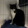  サムネイル3
