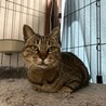  サムネイル3
