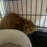  サムネイル2