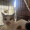  サムネイル2