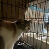  サムネイル2
