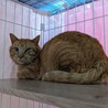  サムネイル2