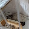  サムネイル2