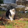  サムネイル3