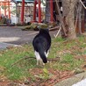  サムネイル4