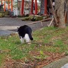  サムネイル5