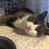  サムネイル5