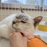  サムネイル2