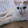  サムネイル2