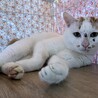  サムネイル3