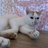  サムネイル4