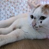  サムネイル5