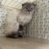  サムネイル3