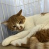  サムネイル3