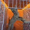  サムネイル4