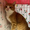  サムネイル2