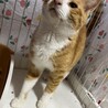  サムネイル4