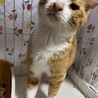  サムネイル5
