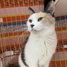  サムネイル2