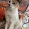  サムネイル4