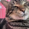  サムネイル3