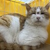  サムネイル3