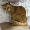  サムネイル5