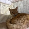  サムネイル2