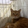  サムネイル3