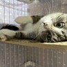  サムネイル3