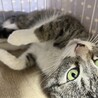  サムネイル4